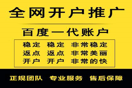 成功案例解读：SEM推广代运营策略
